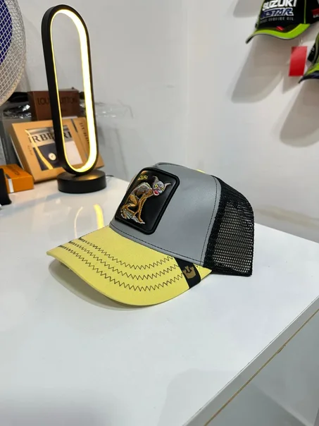 Casquette Goorin gris Devil