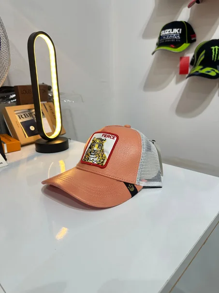 Casquette Goorin Fierce