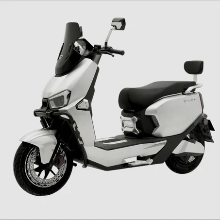 Tailg electric scooter