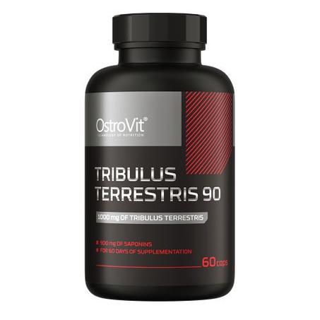 OstroVit Booster de Testostérone Tribulus Terrestris 90 (1000 mg) - 60 Gélules