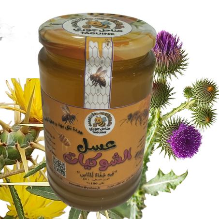 عسل الشوكيات