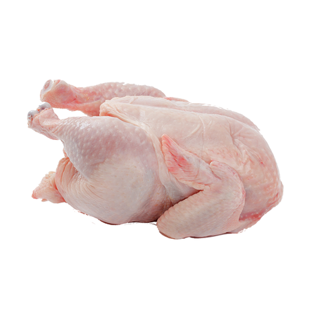 دجاج بلدي طازج