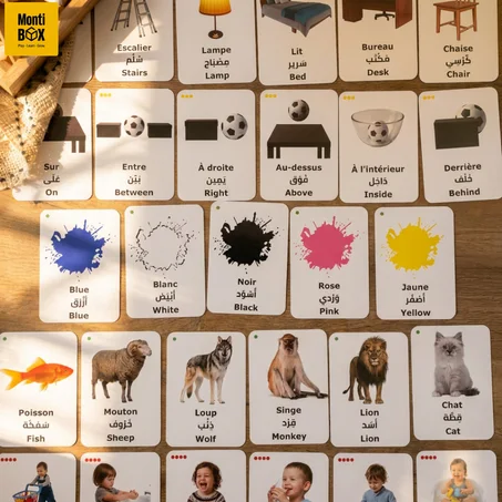 MontiBox · Pack Montessori Trilingue · 197 cartes recto-verso