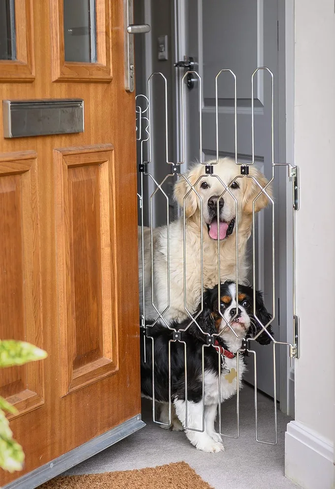 Barrière de sécurité pour chien