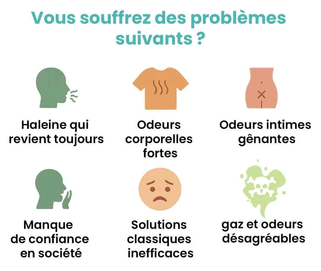 Vision nocturne WDR 2.0