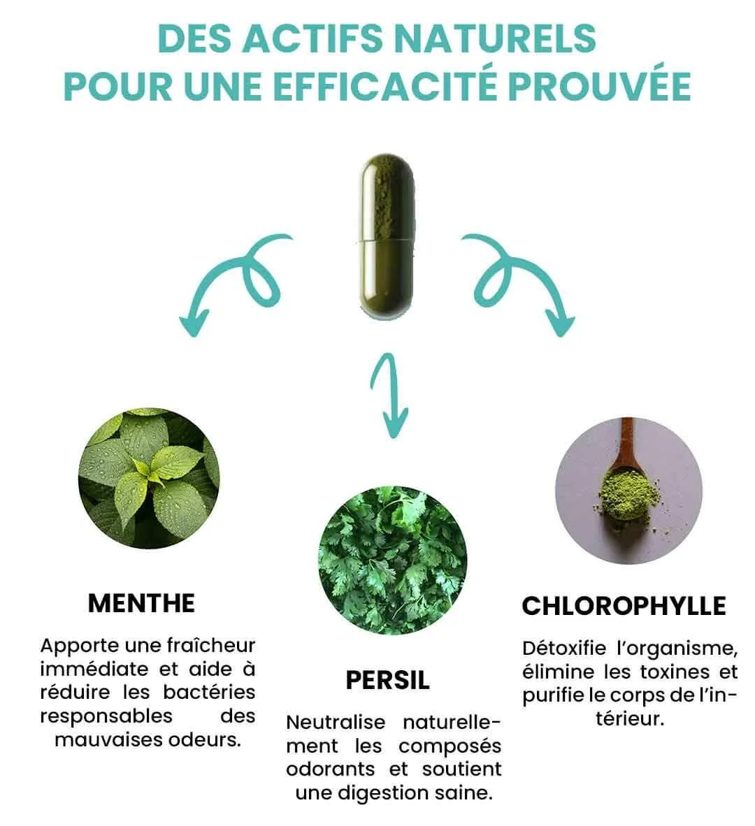 Vision nocturne WDR 2.0