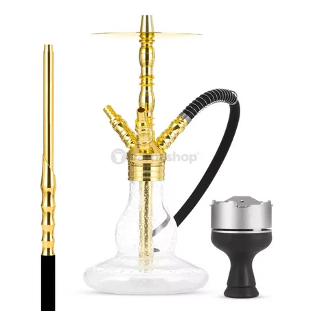 Chicha Tetraduz