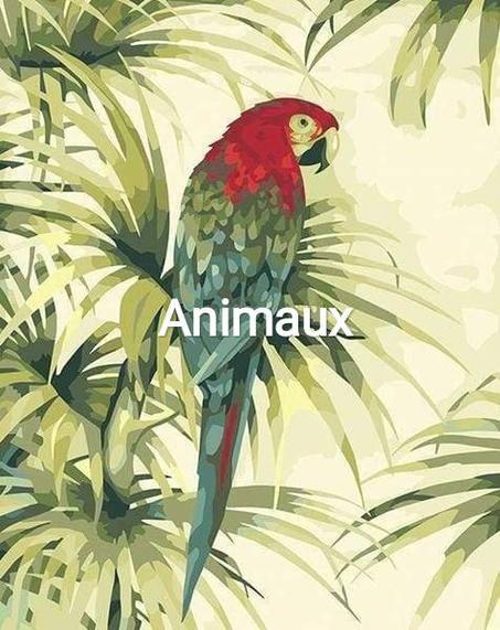 Animaux