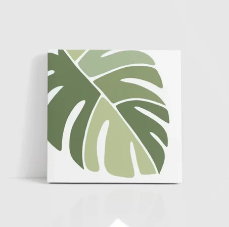 Monstera
