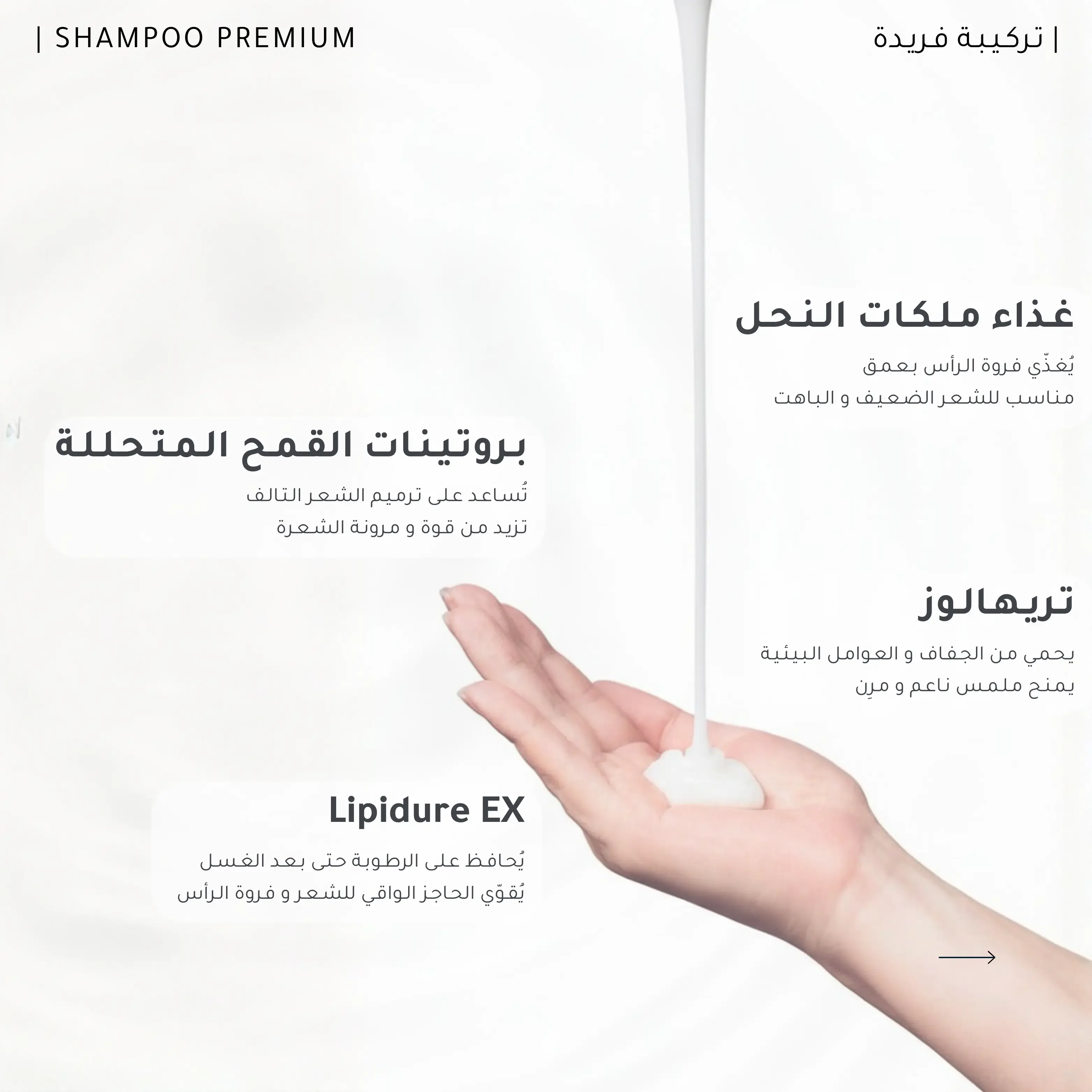 مجموعة شامبو وبلسم فينو