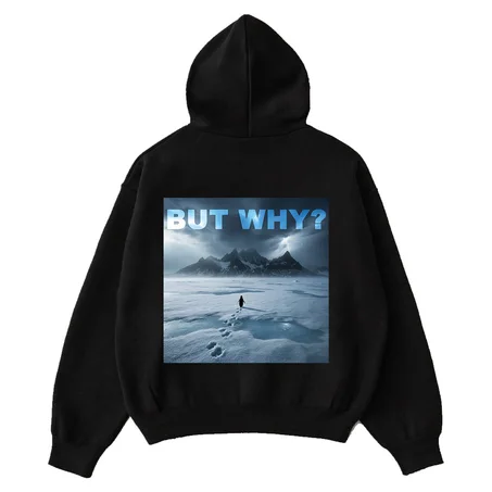 But Why? penguin HOODIE oversize