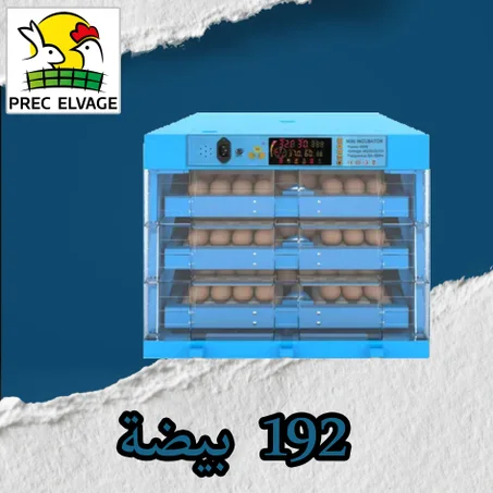 فقاسة 192 بيضة