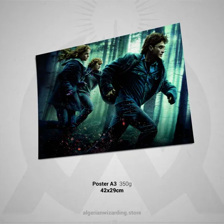 Poster Deathly hallows Run