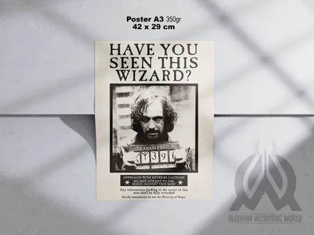 Have you seen this wizard ? (Sirius Black)