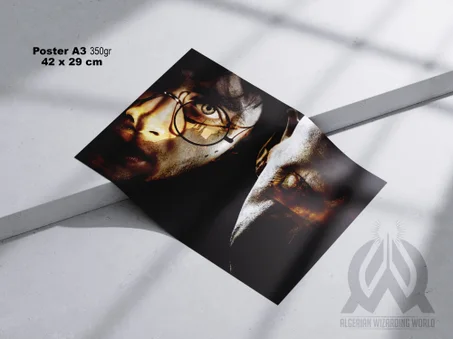 Harry Potter vs Voldemort