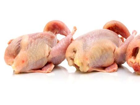 التصنيف الثاني