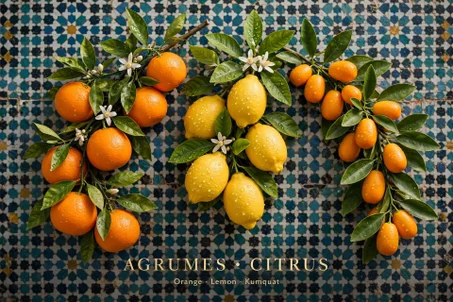 Agrumes Parfumés