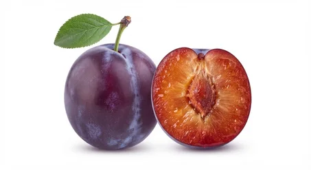 Plants de Prunier Rouge Supérieurs 🔴🍑 - Prêts à Planter (Très Productifs & Juteux)