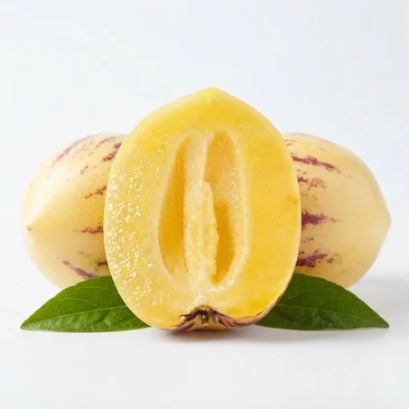 Plants de Pépino (Poire-Melon) Exotiques 🍈 - Prêts à Planter (Culture Facile & Fruit Délicieux)