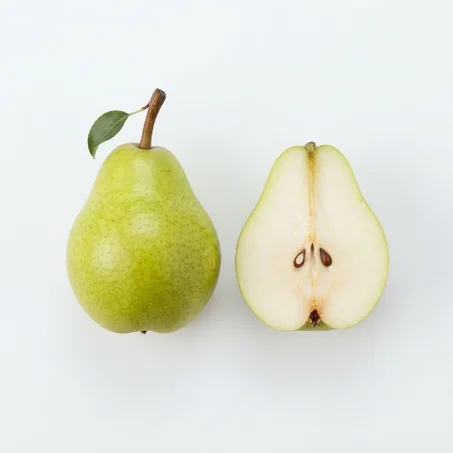 Plants de Poirier de Qualité Supérieure 🍐 - Prêts à Planter (Très Productifs)