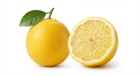 Plants de Citronnier 4 Saisons Supérieurs 🍋 - Prêts à Planter (Production Toute l'Année)