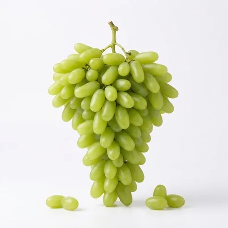 Plants de Vigne (Raisin) Supérieurs 🍇 - Prêts à Planter (Très Productifs & Résistants)
