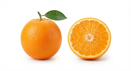 Plants d'Oranger de Qualité Supérieure 🍊 - Prêts à Planter (Très Productifs & Juteux)