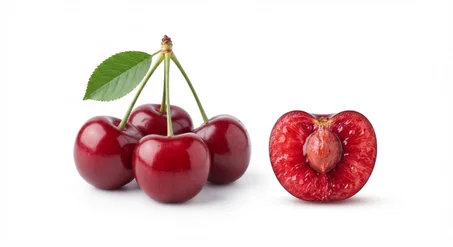 Plants de Cerisier (Hab El Melouk) Supérieurs 🍒 - Prêts à Planter (Très Productifs)