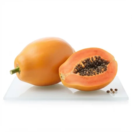 Plants de Papayer Exotique 🥭 - Prêts à Planter (Croissance Rapide & Fruits Sucrés)