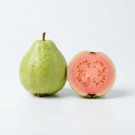 Plants de Guayave de Qualité Supérieure 🍈 - Prêts à Planter (Grande Taille & Productifs)