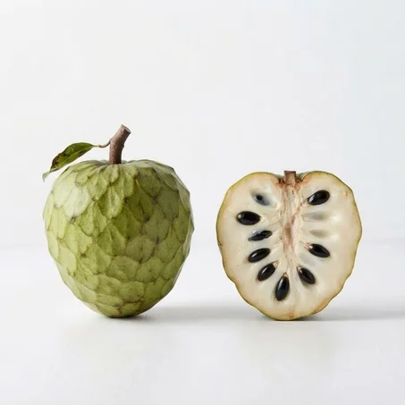 Plants d'Anone / Chérimole (Corossolier/Pommier-Crème) Qualité Supérieure – Disponibles ! 🥑🍦🌱
