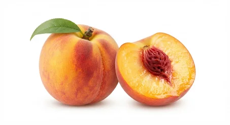 Plants de Pêcher de Qualité Supérieure 🍑 - Prêts à Planter (Très Productifs & Juteux)