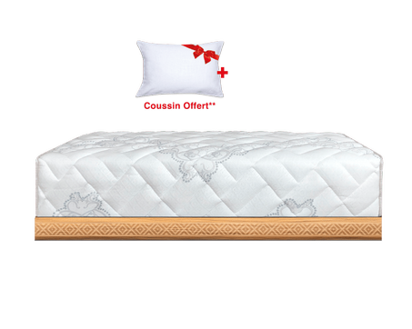 SALON DOLIDOL KINEDORSAL BIOENERGY