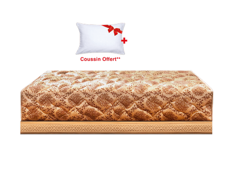 SALON DOLIDOL KINEDORSAL KINE PRO