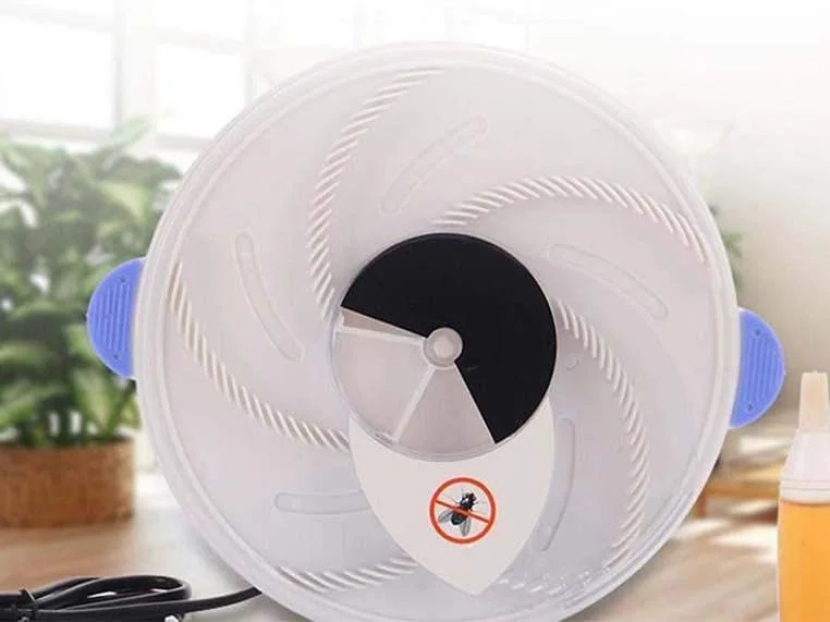 صائد الذباب الدوار و الحشرات