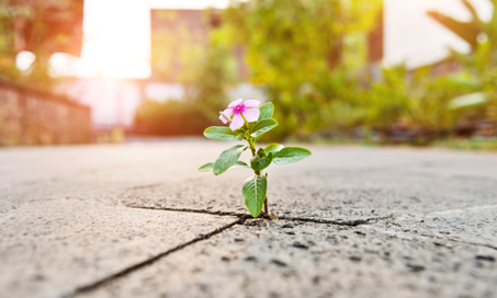 القيمة و الجودة " اشياء تخلق السعادة "