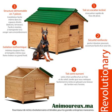 Niche FortiShield restylée : design révolutionnaire, robustesse maximale, structure démontable- Équipée d’un toit ouvrant et d’une porte avec serrure à bouton – pour une protection maximale