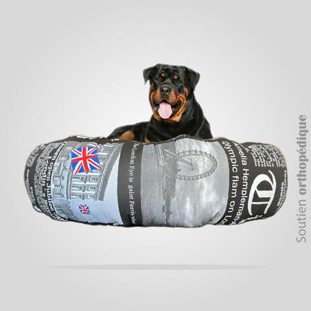 DONUT XXXL EN LIN "  UK Black Newspaper "