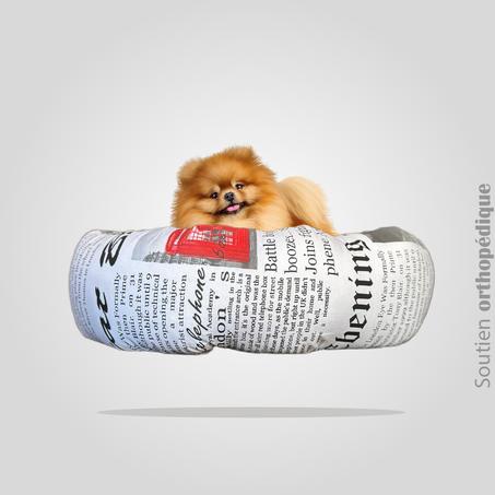 DONUT XL EN LIN " London Chronicle "