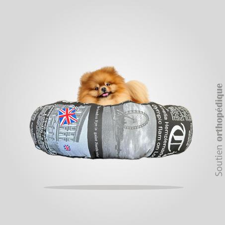 DONUT XL EN LIN "  UK Black Newspaper "