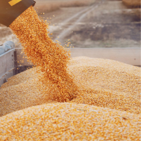 خيرات بلادي