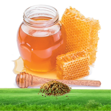 العسل الطبيعي ومشتقاته
