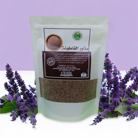 بذور القاطونة