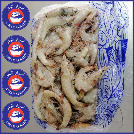 جمبري مجمد   Crevette Grise Congelée