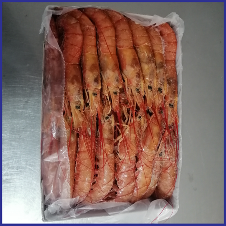 جمبري أحمر CREVETTE ROUGE