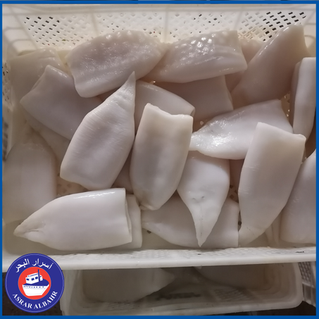 الحبار CALAMARS (POTA)