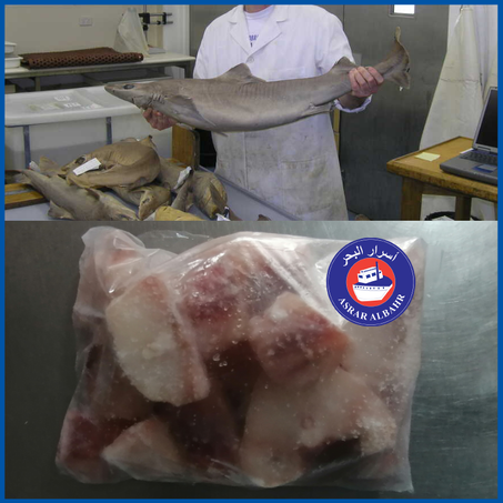 شرائح الكاطا مجمدة   Gatta Congelée