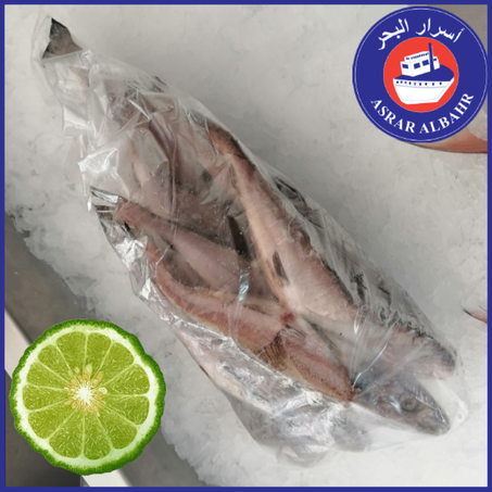 المرنة مجمدة MERLAN  CONGELEE