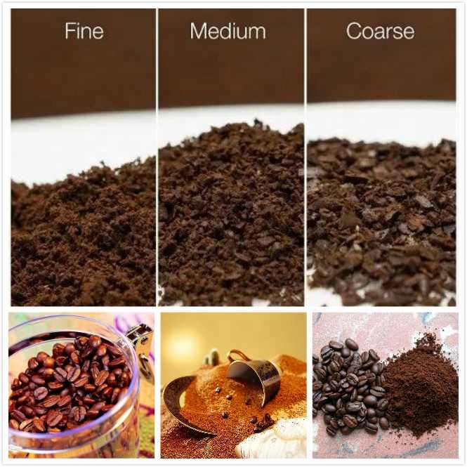 Nova Digital Coffee Grinder – 180W, Adjustable Grind Settings, Stainless Steel Blades
