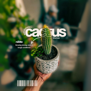 Catégorie : Cactus (الصبار)
